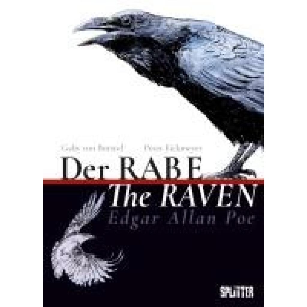9783987214523 - Borstel Gaby von Der Rabe   The Raven