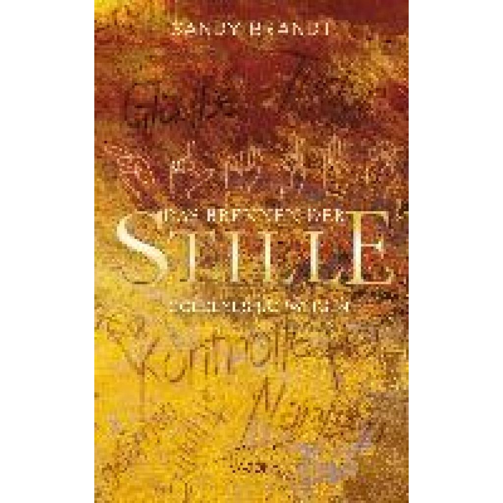 9783948985530 - DAS BRENNEN DER STILLE - Goldenes Schweigen (Band 1) - Sandy Brandt Gebunden