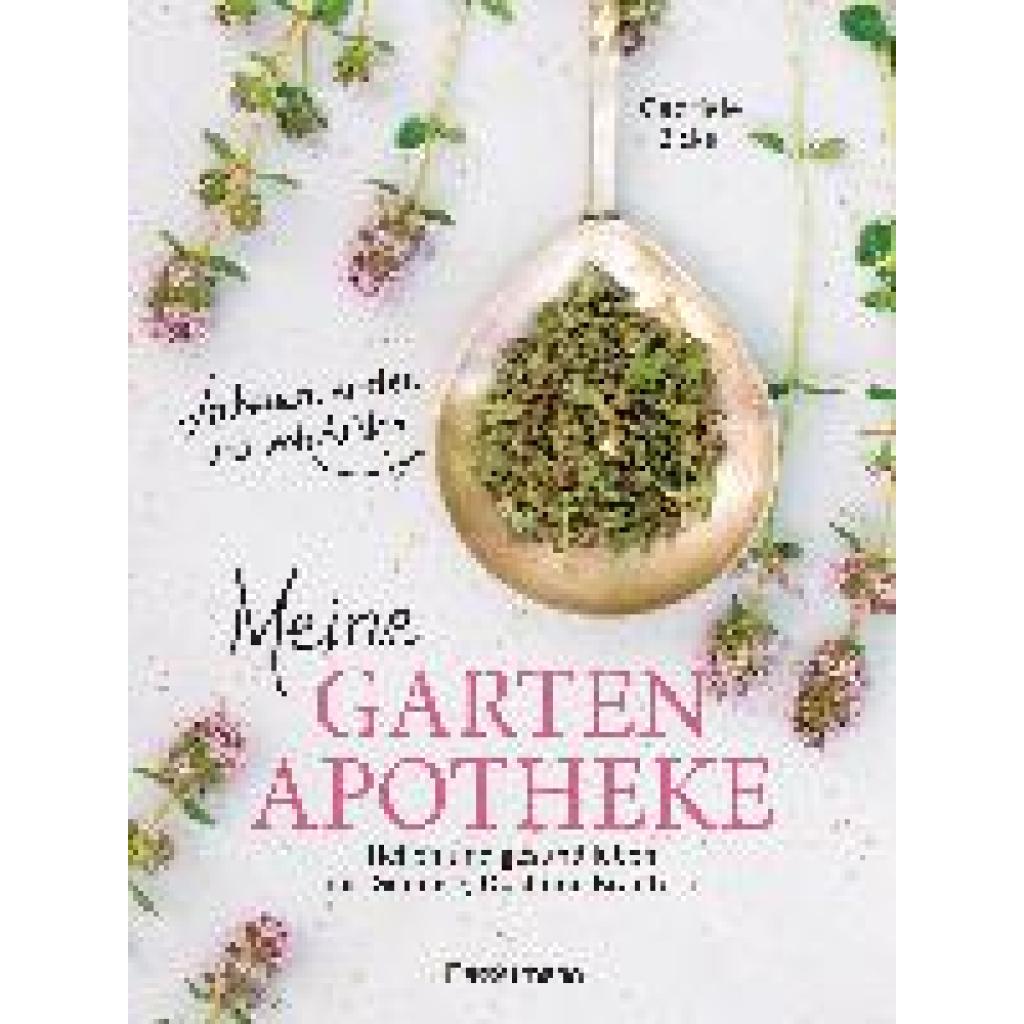 9783809446316 - Gabriele Bickel - GEBRAUCHT Meine Gartenapotheke Heilen und gesund leben mit Gemüse Obst und Kräutern aus dem eigenen Garten Alles über Anbau Ernte Zubereitung und Heilkräfte Mit 50 Rezepten - Preis vom 14102023 050634 h