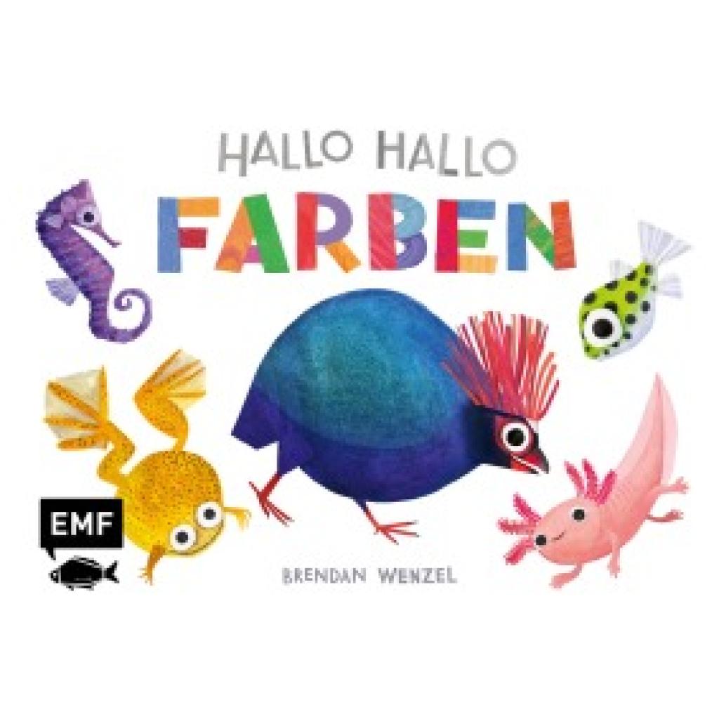 9783745924350 - Wenzel Brendan Hallo Hallo - Farben