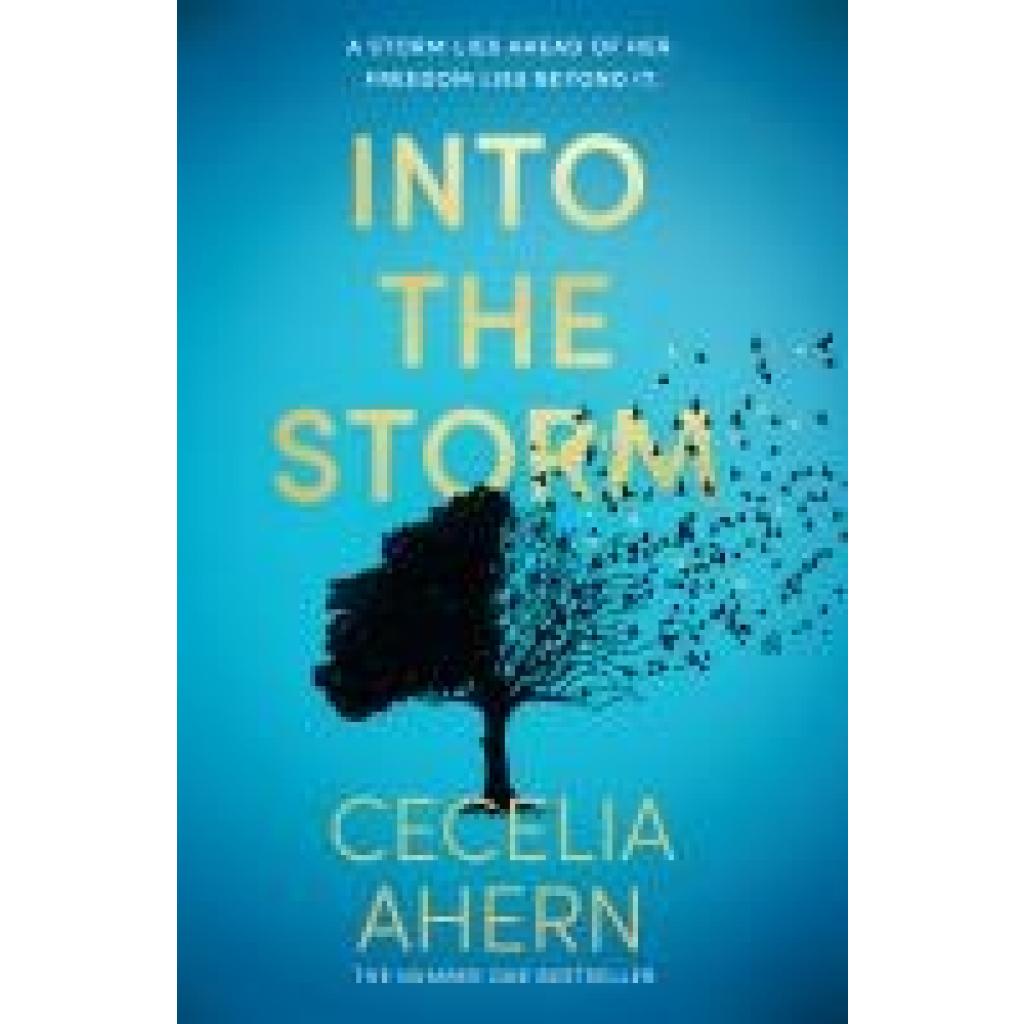 9780008195038 - Ahern Cecelia Into the Storm 9780008195038 - Ahern Cecelia Into the Storm