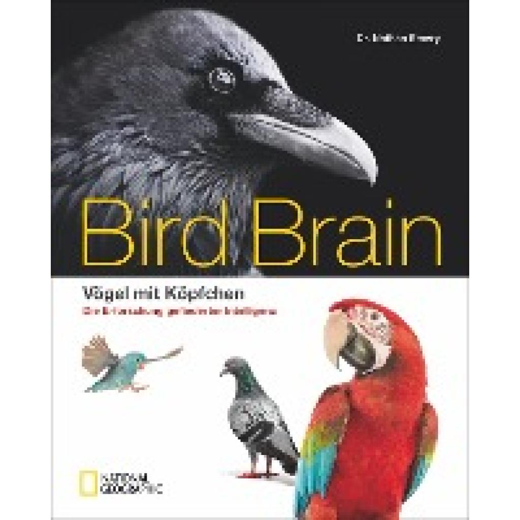 9783866906242 - Bird Brain - Nathan Emery Gebunden