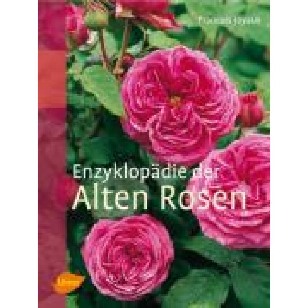 9783800153336 - Enzyklopädie der Alten Rosen - Francois Joyaux Gebunden 9783800153336 - Enzyklopädie der Alten Rosen - Francois Joyaux Gebunden