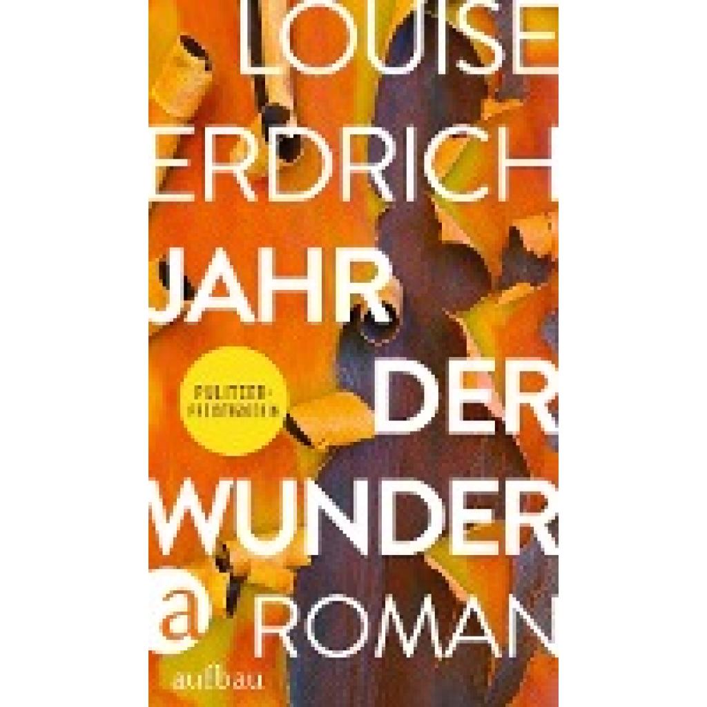 9783351039806 - Jahr der Wunder - Louise Erdrich Gebunden