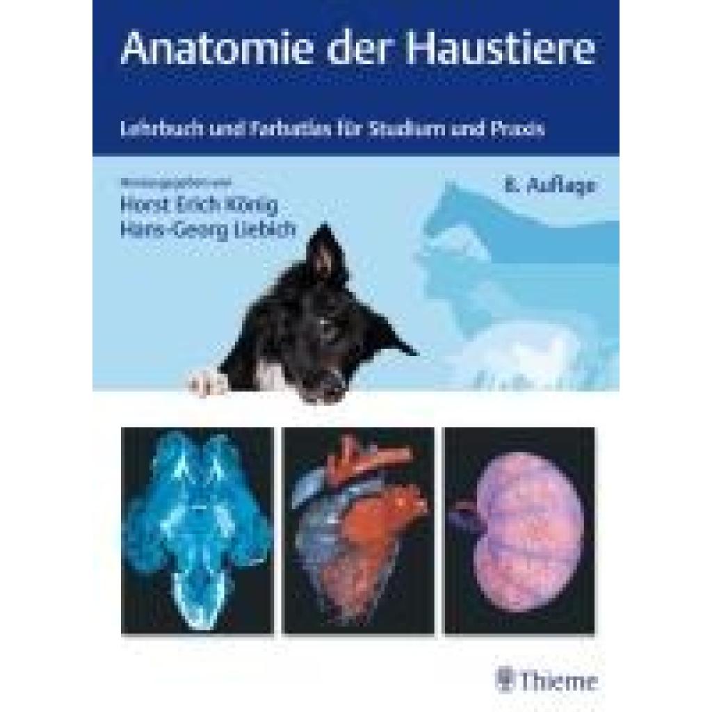 Anatomie der Haustiere