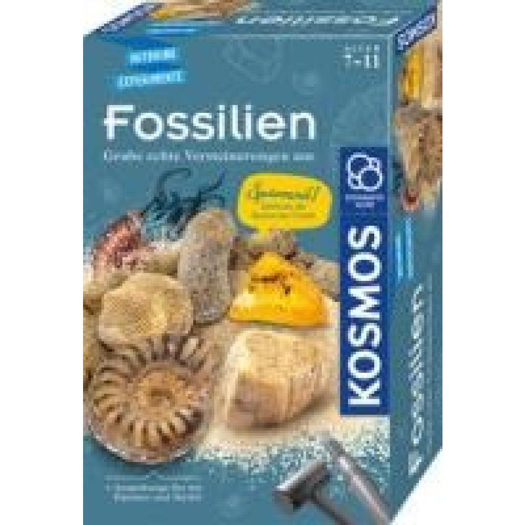 Fossilien