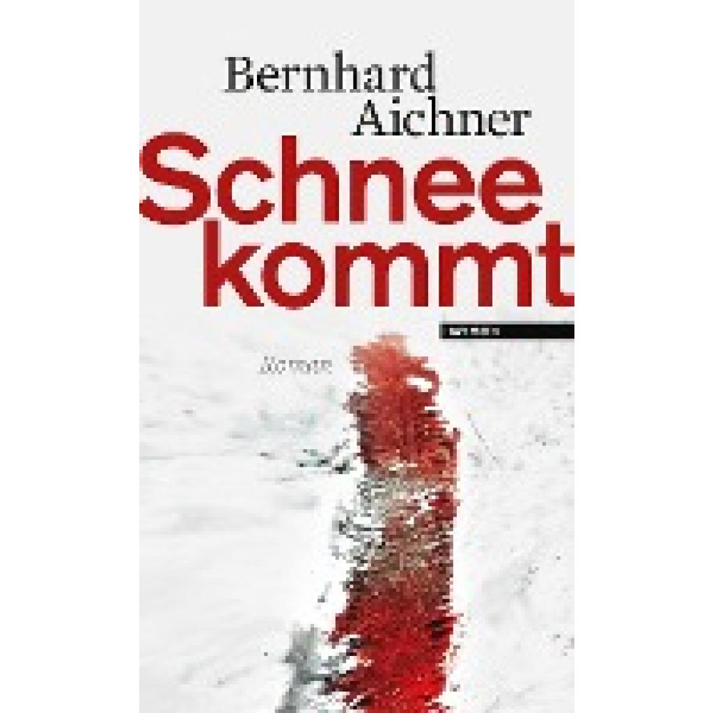 9783709971581 - Schnee kommt - Bernhard Aichner Gebunden
