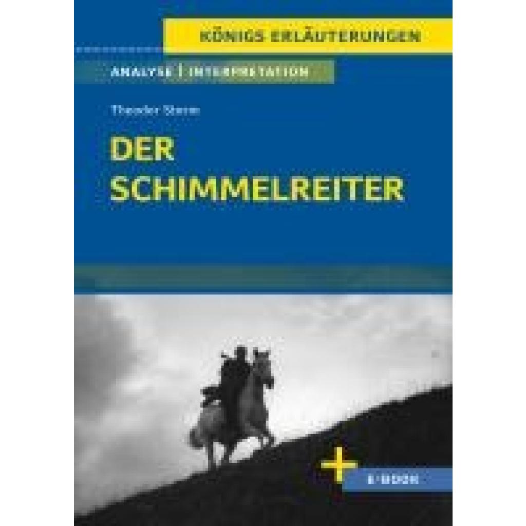 9783804420960 - Der Schimmelreiter von Theodor Storm - Textanalyse und Interpretation - Theodor Storm Gebunden