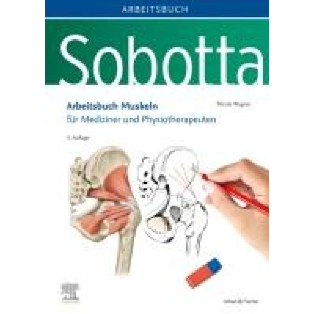 9783437413346 - Wagner Nicole Sobotta Arbeitsbuch Muskeln