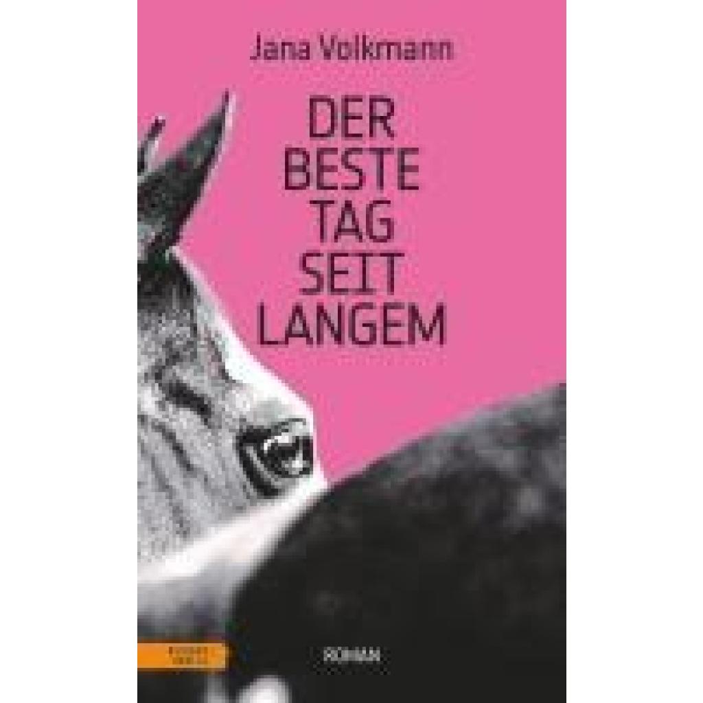 9783701717903 - Volkmann Jana Der beste Tag seit langem 9783701717903 - Volkmann Jana Der beste Tag seit langem