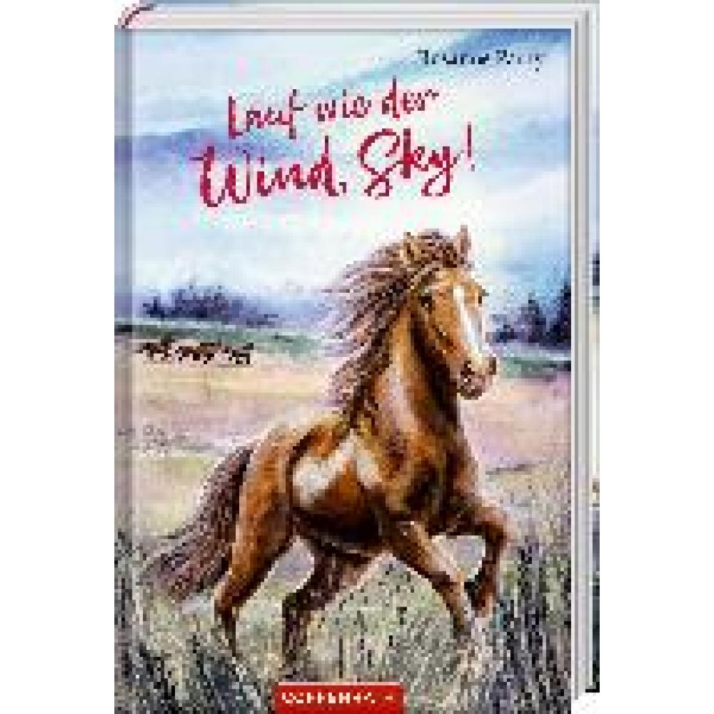 9783649647508 - Lauf wie der Wind Sky! 9783649647508 - Lauf wie der Wind Sky!