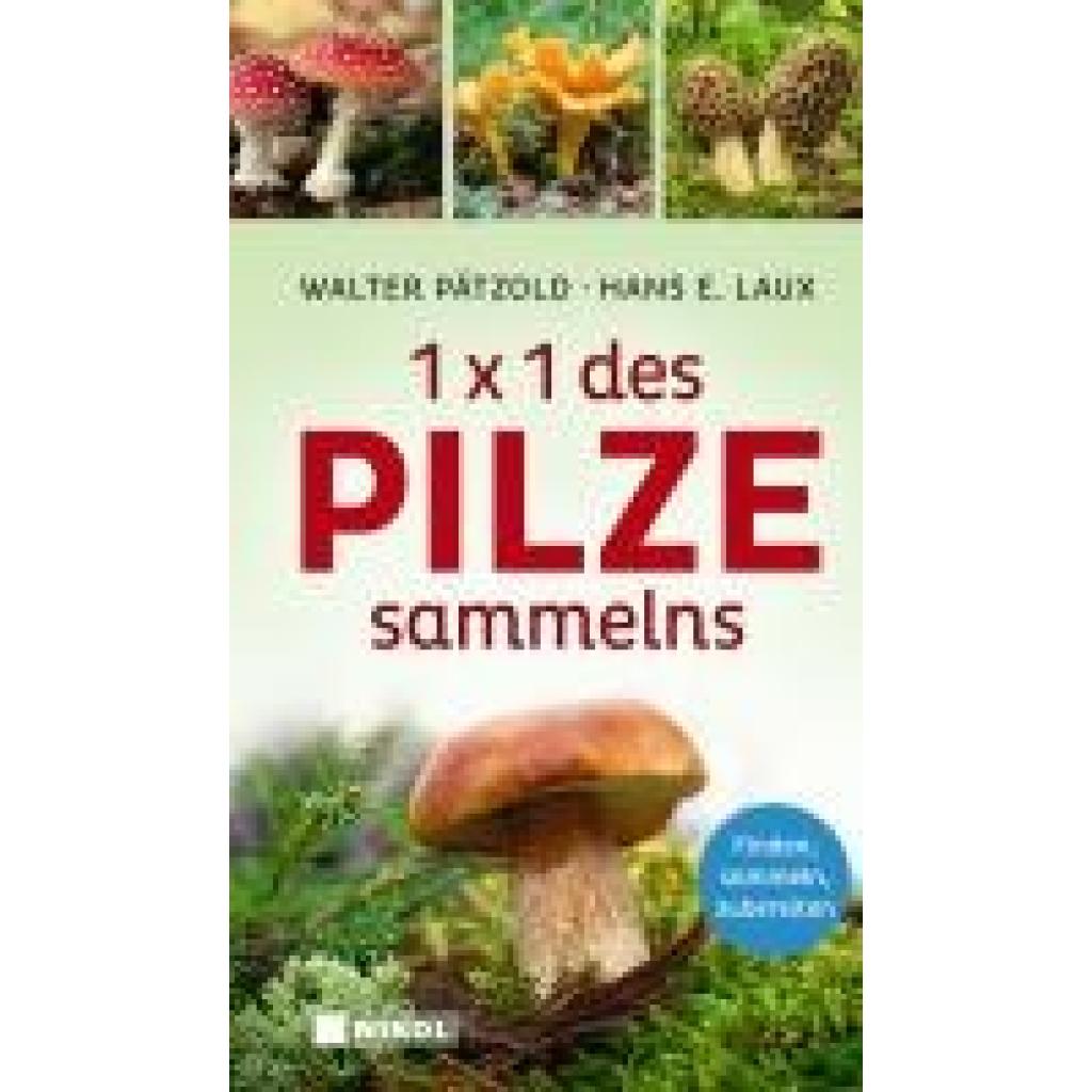 9783868208306 - Pätzold Walter 1 x 1 des Pilzesammelns
