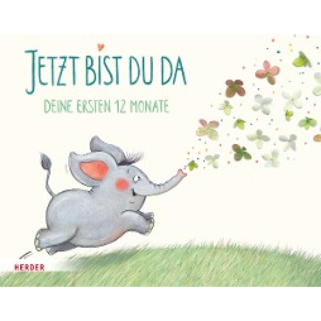 9783451716836 - Jetzt bist du da - Deine ersten 12 Monate Gebunden