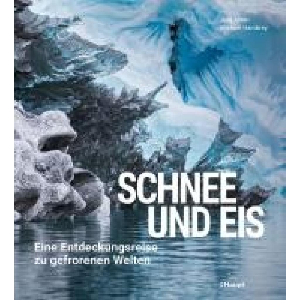 9783258083377 - Alean Jürg Schnee und Eis