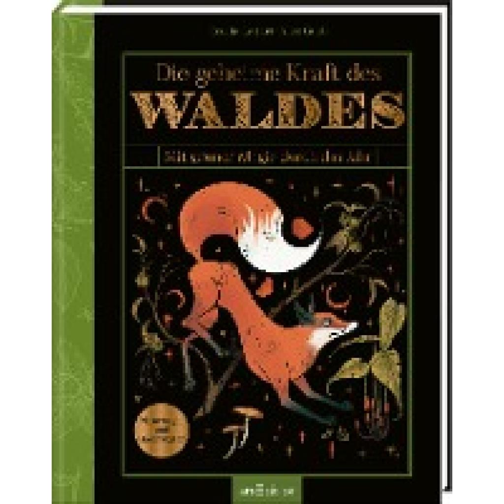 9783845849379 - Die geheime Kraft des Waldes - Cecilia Lattari Gebunden 9783845849379 - Die geheime Kraft des Waldes - Cecilia Lattari Gebunden