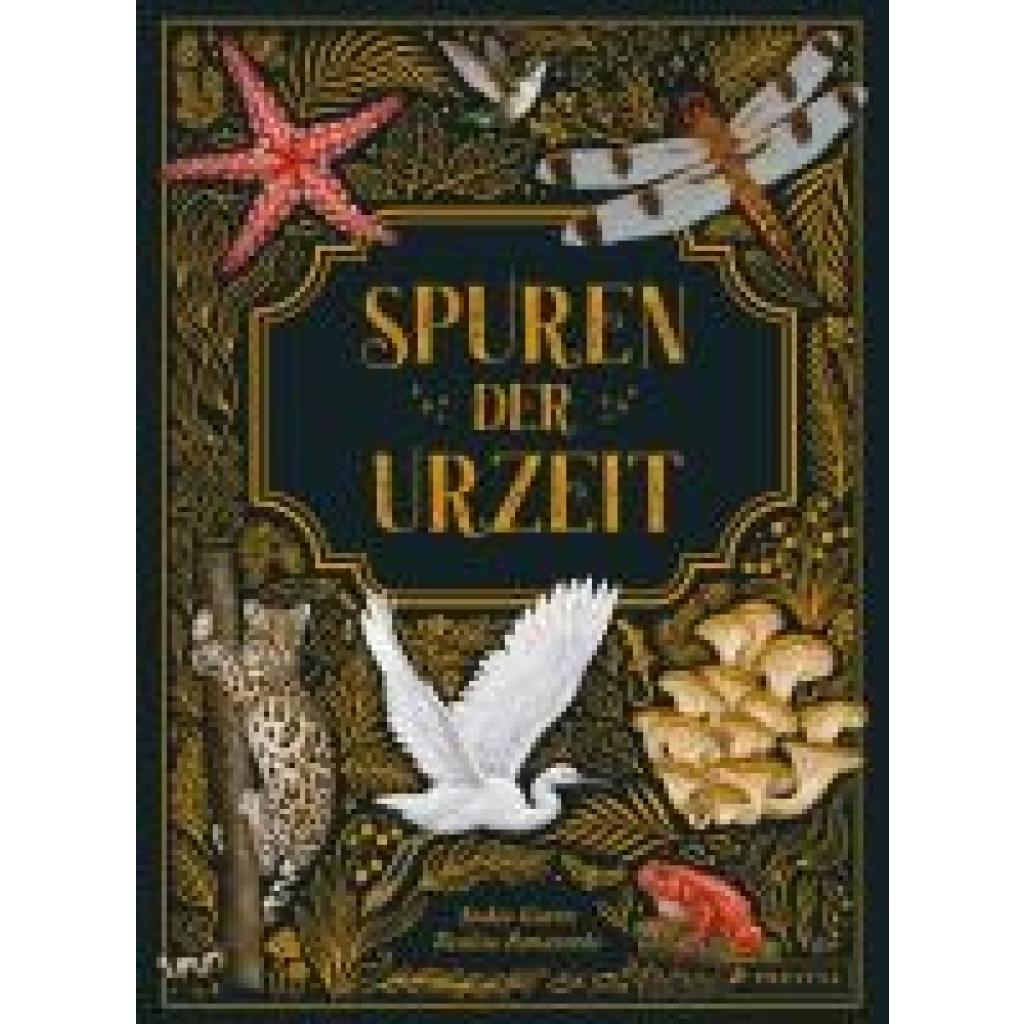 9783791375847 - Gwinn Saskia Spuren der Urzeit 9783791375847 - Gwinn Saskia Spuren der Urzeit