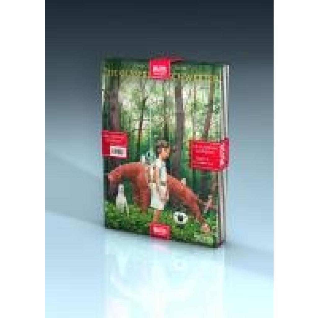 9783689500153 - Corgiat Sylviane Die Gläsernen Schwerter Adventspaket Die komplette Comic-Serie