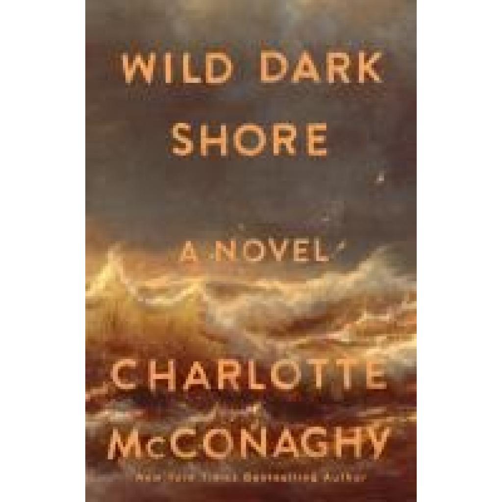 9781250827951 - McConaghy Charlotte Wild Dark Shore 9781250827951 - McConaghy Charlotte Wild Dark Shore