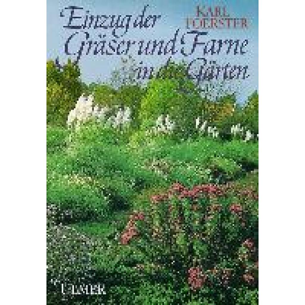 9783800163656 - Einzug der Gräser und Farne in die Gärten - Karl Foerster Bernhard Röllich Gebunden 9783800163656 - Einzug der Gräser und Farne in die Gärten - Karl Foerster Bernhard Röllich Gebunden