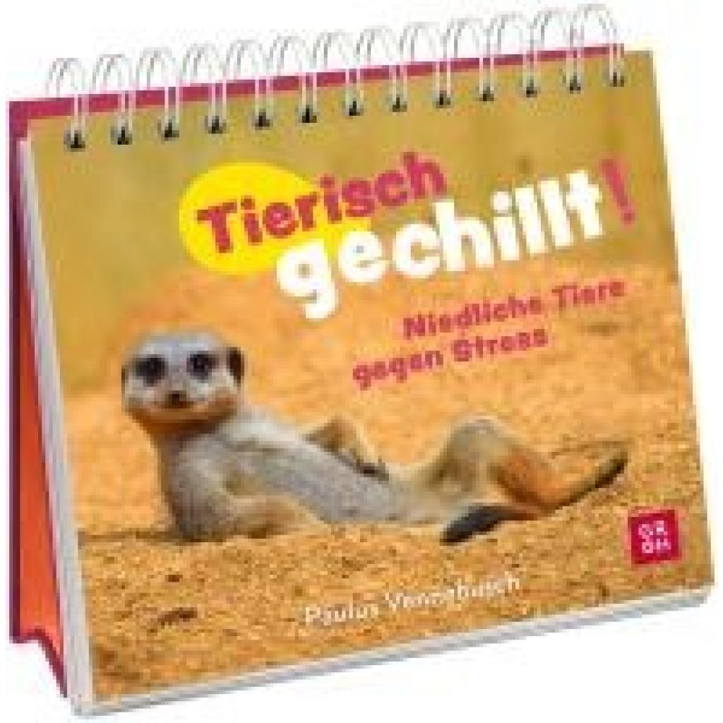 9783848502813 - Vennebusch Paulus Tierisch gechillt!