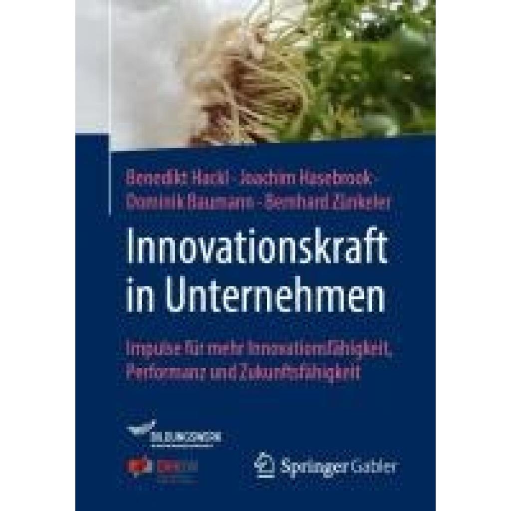 9783658456962 - Hackl Benedikt Innovationskraft in Unternehmen 9783658456962 - Hackl Benedikt Innovationskraft in Unternehmen