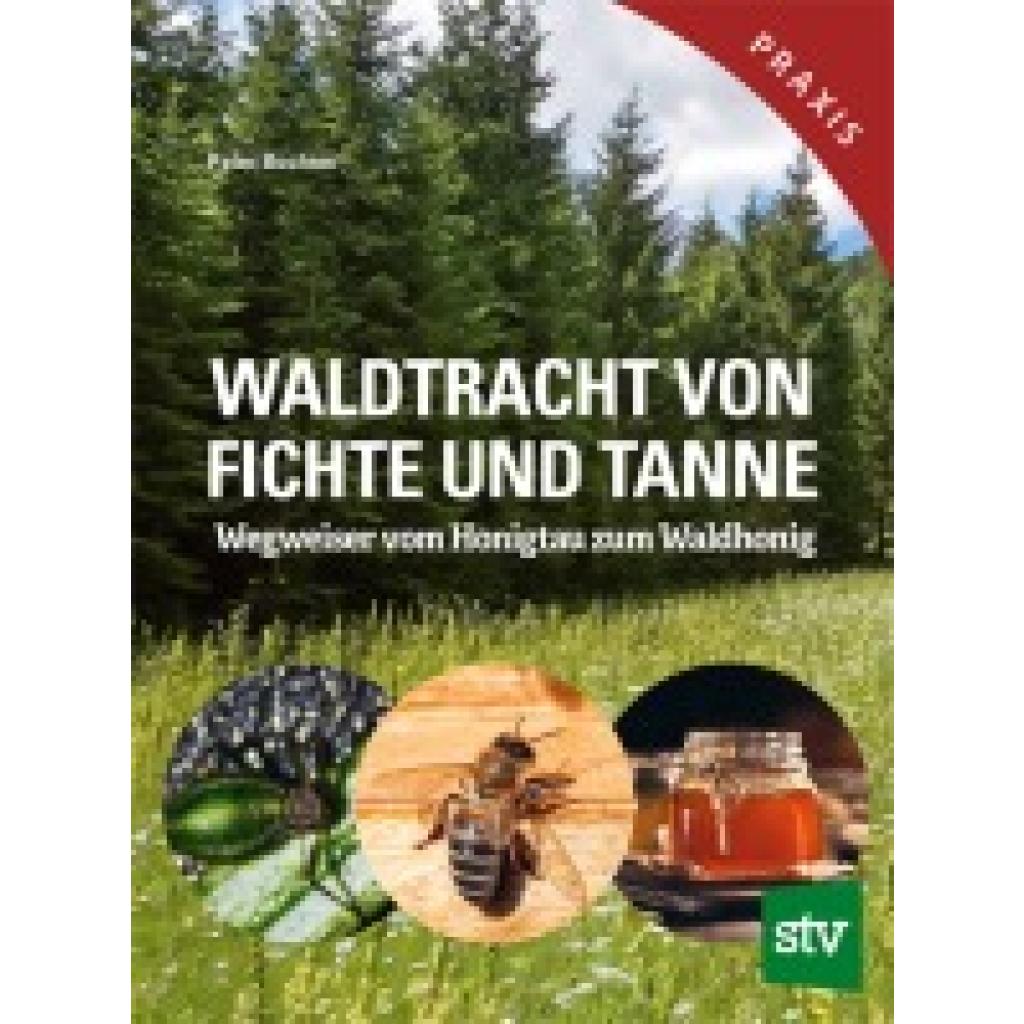 9783702022594 - Buchner Peter Waldtracht von Fichte und Tanne