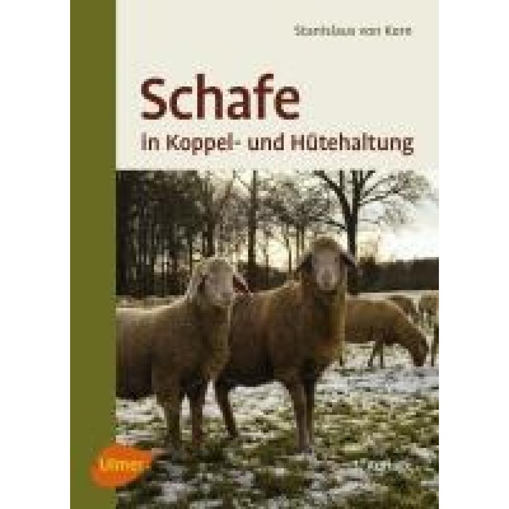 9783800179817 - Schafe in Koppel- und Hütehaltung - Stanislaus von Korn Ernst Kalm Kartoniert (TB)