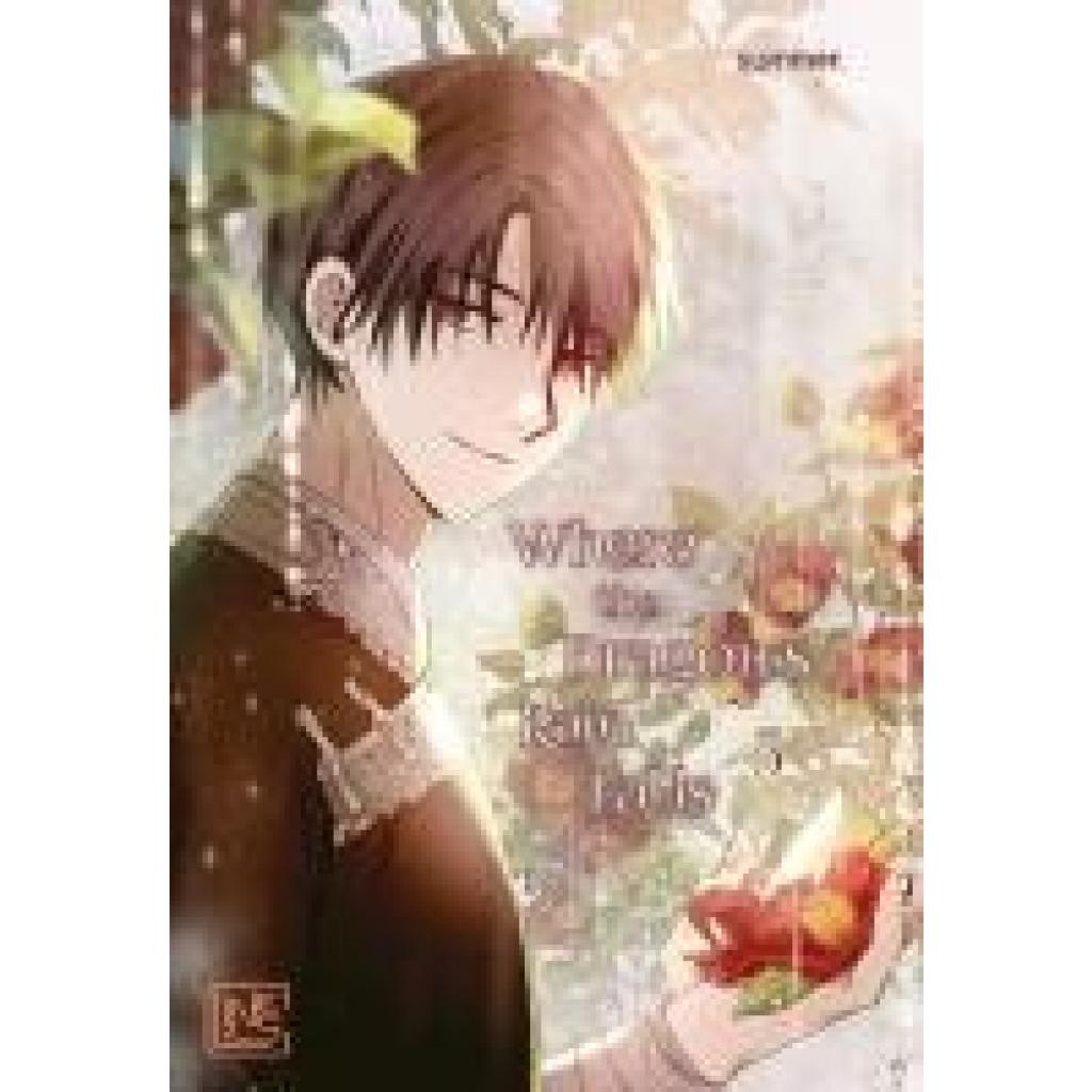 9783551630247 - Summer Where the Dragons Rain Falls 5 9783551630247 - Summer Where the Dragons Rain Falls 5