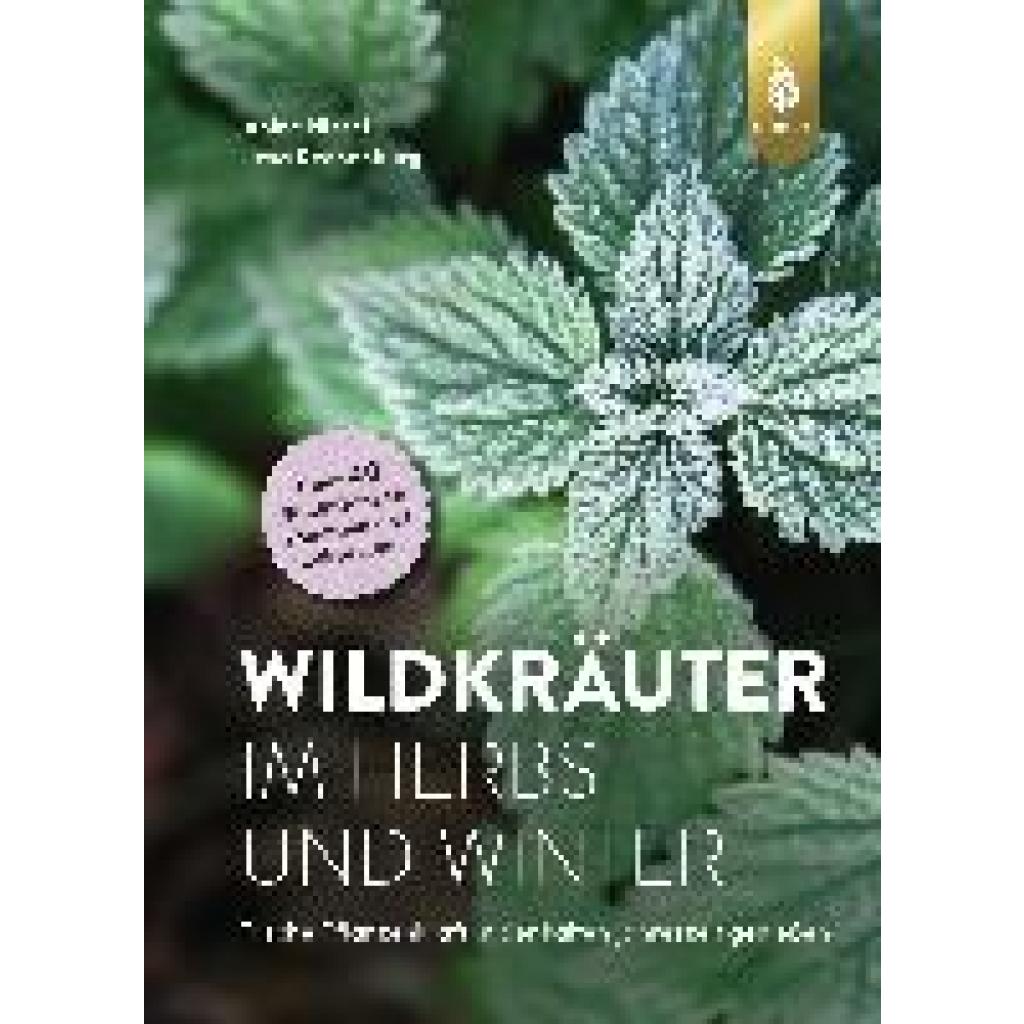 9783818616427 - Wildkräuter im Herbst und Winter - Janine Hissel Liesa Rechenburg Kartoniert (TB)