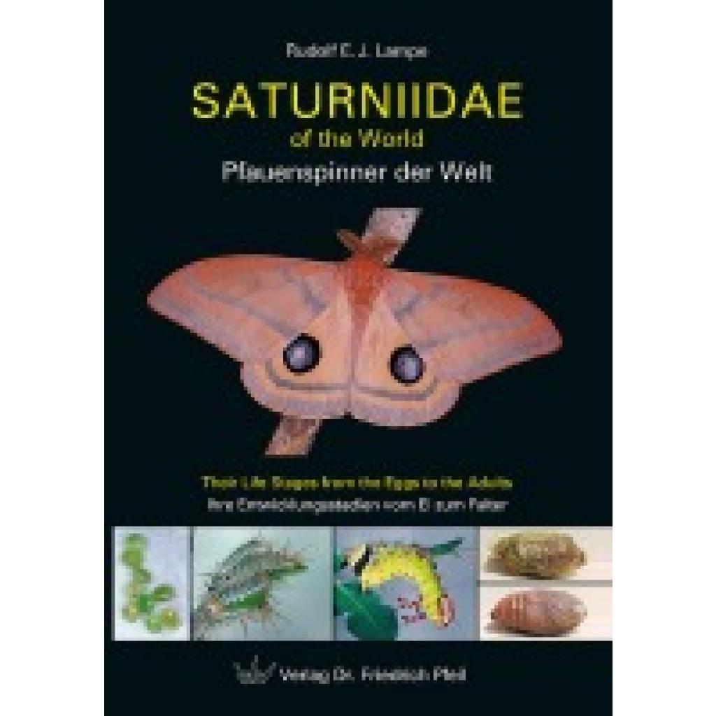 9783899370843 - Lampe Rudolf E J Saturniidae of the World Pfauenspinner der Welt 9783899370843 - Lampe Rudolf E J Saturniidae of the World Pfauenspinner der Welt