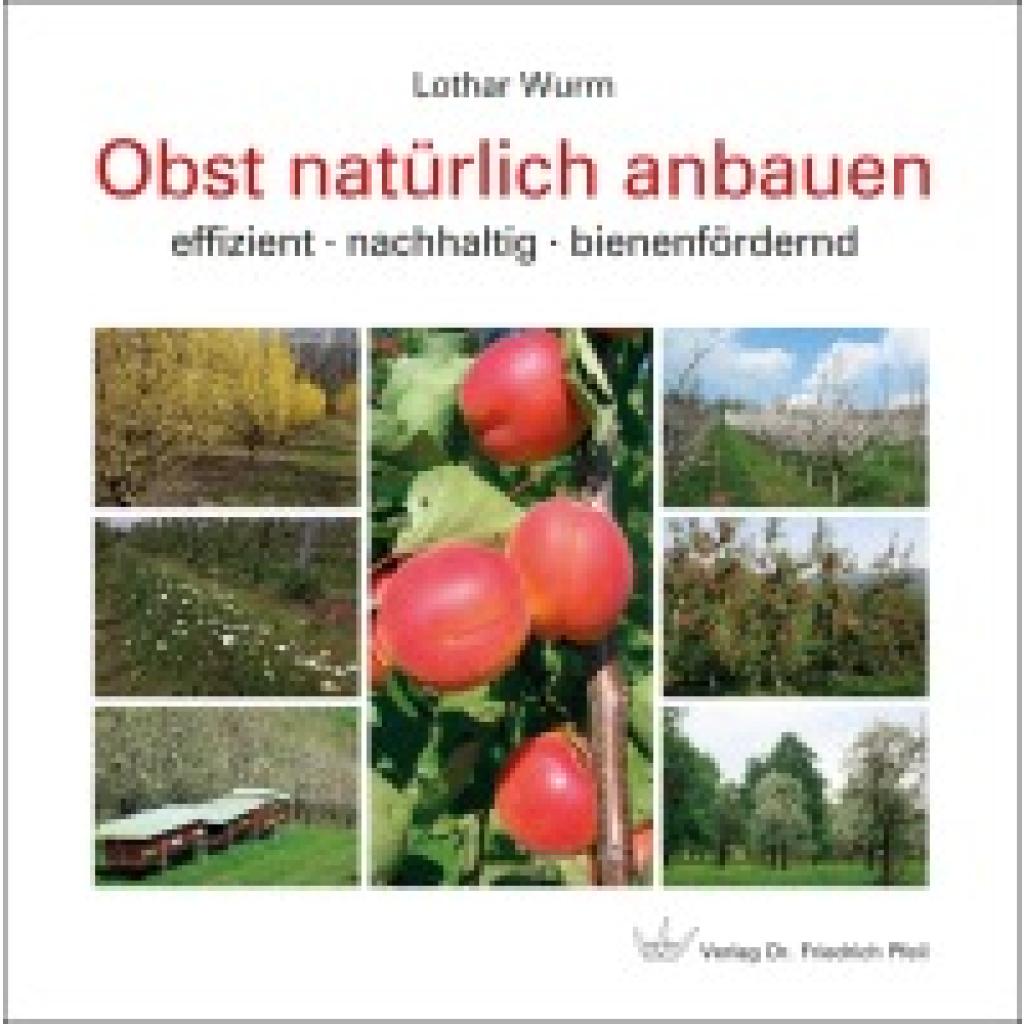 9783899372984 - Wurm Lothar Obst natürlich anbauen 9783899372984 - Wurm Lothar Obst natürlich anbauen