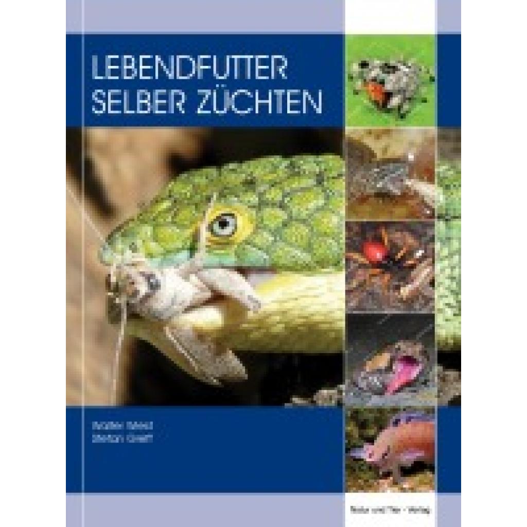 9783866595200 - Wiest Walter Lebendfutter selber züchten 9783866595200 - Wiest Walter Lebendfutter selber züchten
