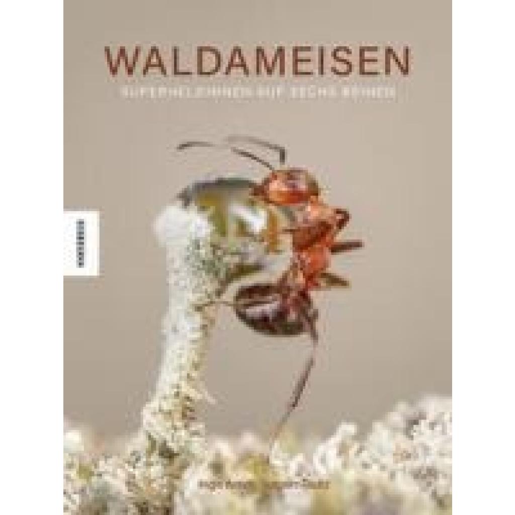 9783957288400 - Tautz Jürgen Waldameisen