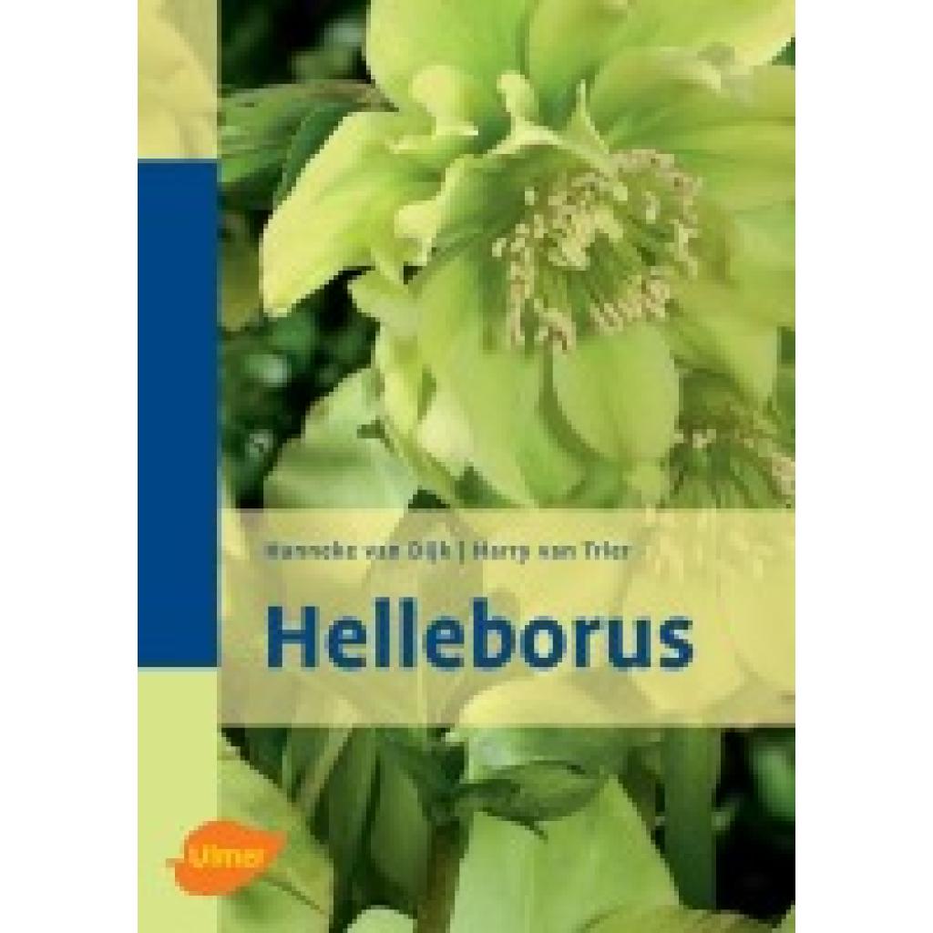 9783800149124 - Helleborus - Harry van Trier Hanneke van Dijk Gebunden 9783800149124 - Helleborus - Harry van Trier Hanneke van Dijk Gebunden