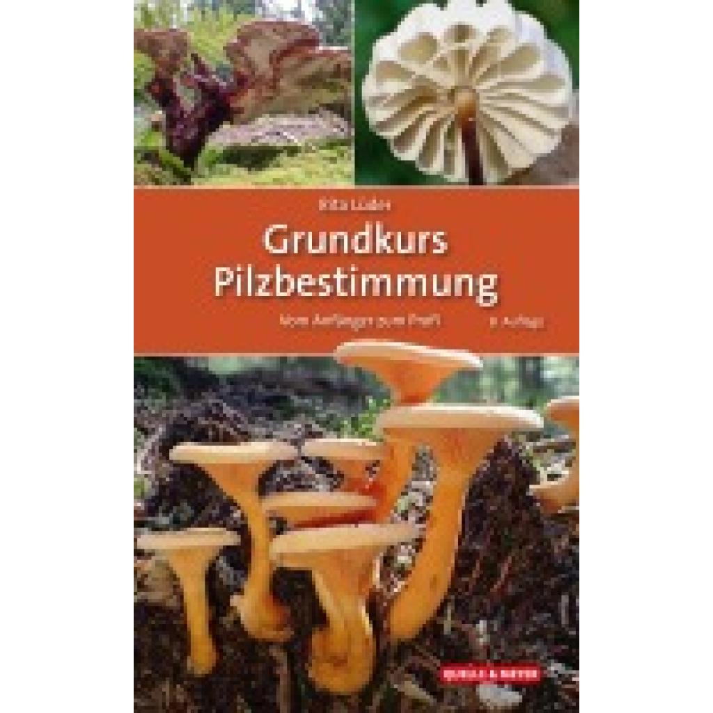 9783494019970 - Lüder Rita Grundkurs Pilzbestimmung