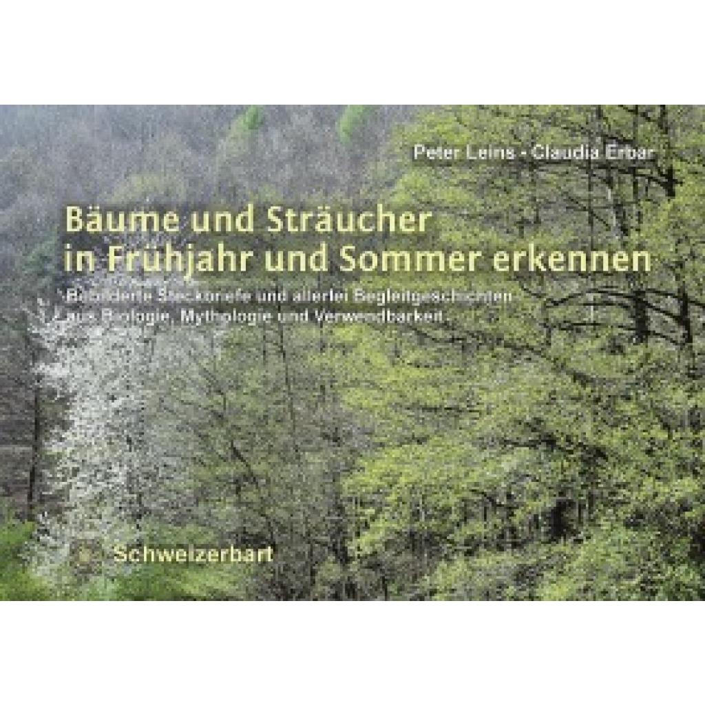 9783510654147 - Bäume und Sträucher in Frühjahr und Sommer erkennen - Peter Leins Claudia Erbar Kartoniert (TB) 9783510654147 - Bäume und Sträucher in Frühjahr und Sommer erkennen - Peter Leins Claudia Erbar Kartoniert (TB)