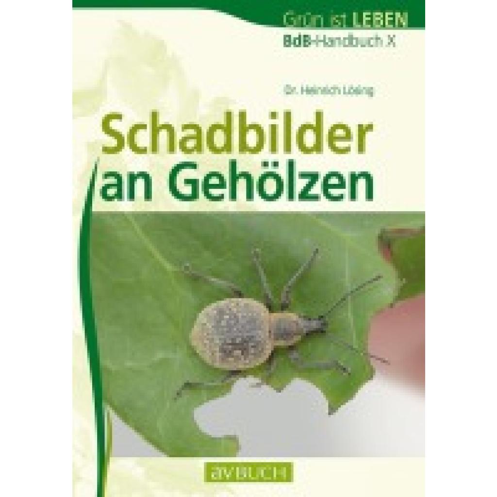 9783840482069 - Schadbilder an Gehölzen - Heinrich Lösing Kartoniert (TB) 9783840482069 - Schadbilder an Gehölzen - Heinrich Lösing Kartoniert (TB)