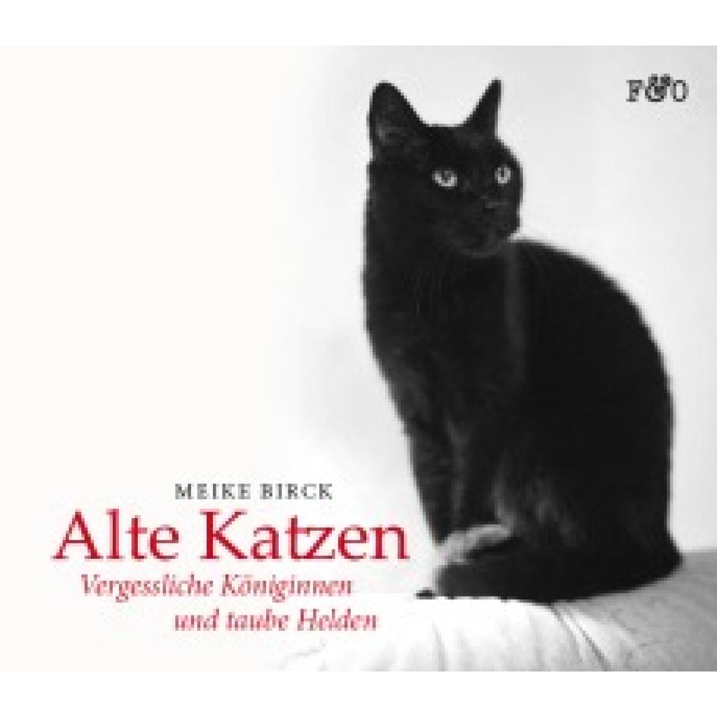 9783956930263 - Alte Katzen - Meike Birck Gebunden