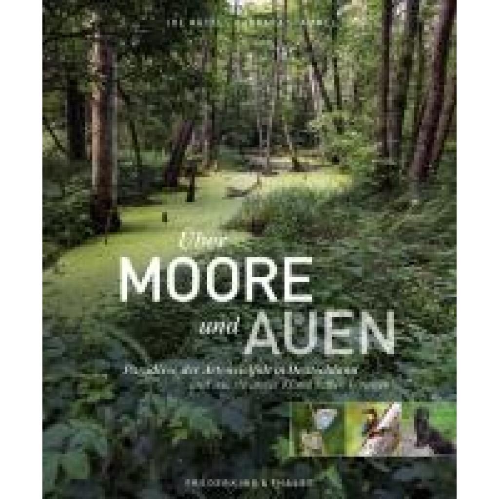 9783954164073 - Stammel Barbara Über Moore und Auen 9783954164073 - Stammel Barbara Über Moore und Auen