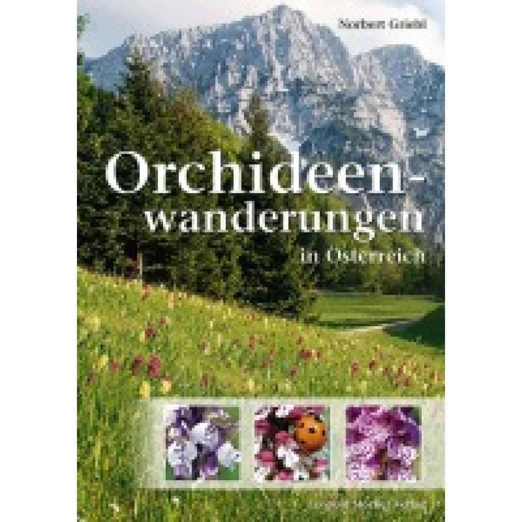 9783702015336 - Orchideenwanderungen in Österreich - Norbert Griebl Kartoniert (TB)