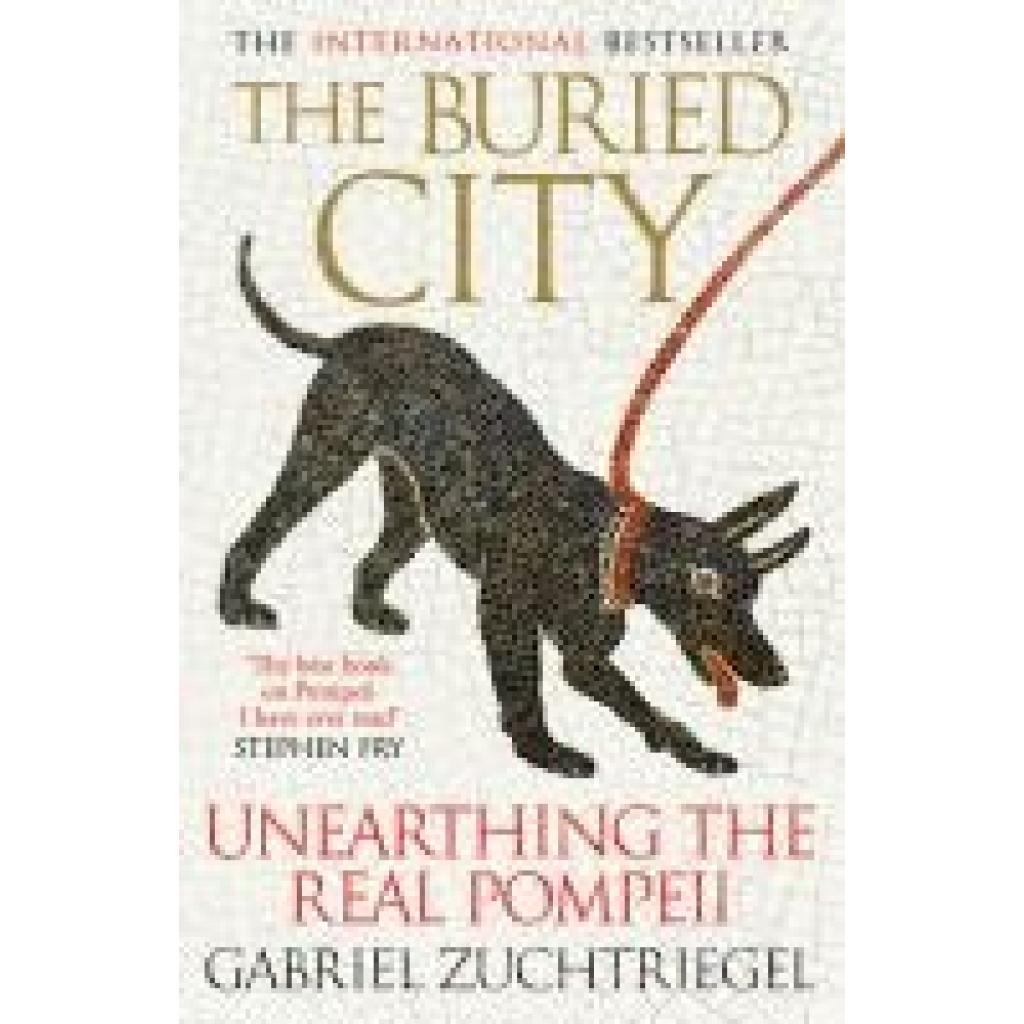9781399741729 - Zuchtriegel Gabriel The Buried City 9781399741729 - Zuchtriegel Gabriel The Buried City