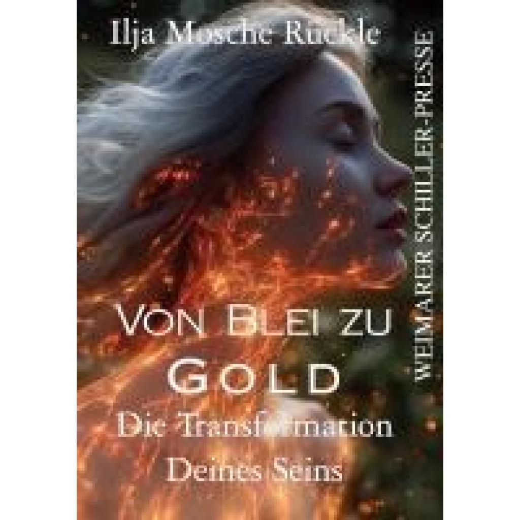 9783837228175 - Rückle Ilja Mosche Von Blei zu Gold 9783837228175 - Rückle Ilja Mosche Von Blei zu Gold