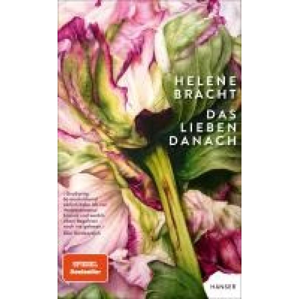 9783446282919 - Bracht Helene Das Lieben danach 9783446282919 - Bracht Helene Das Lieben danach