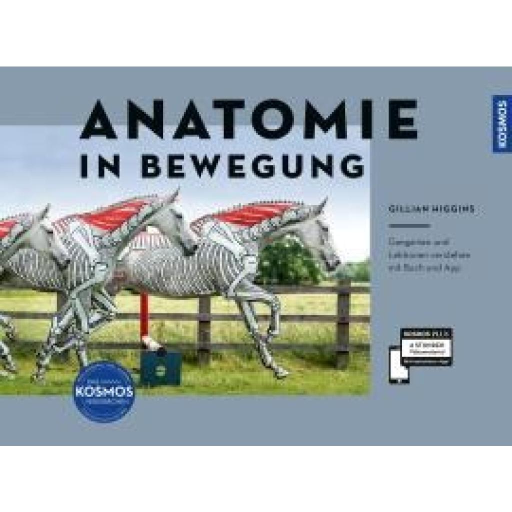 9783440178942 - Higgins Gillian Anatomie in Bewegung