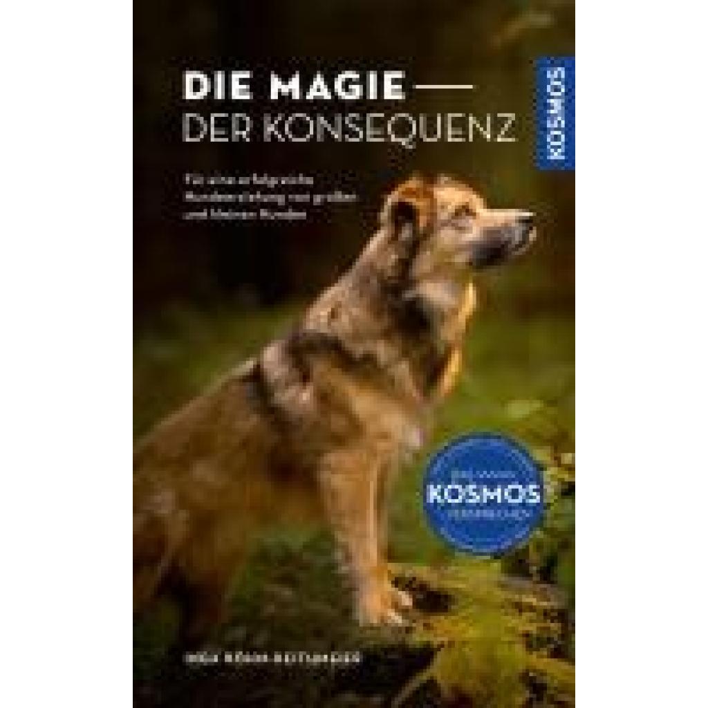 9783440181638 - Böhm-Reithmeier Inga Die Magie der Konsequenz