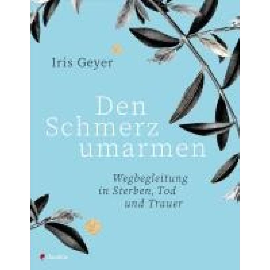 9783532629055 - Geyer Iris Den Schmerz umarmen