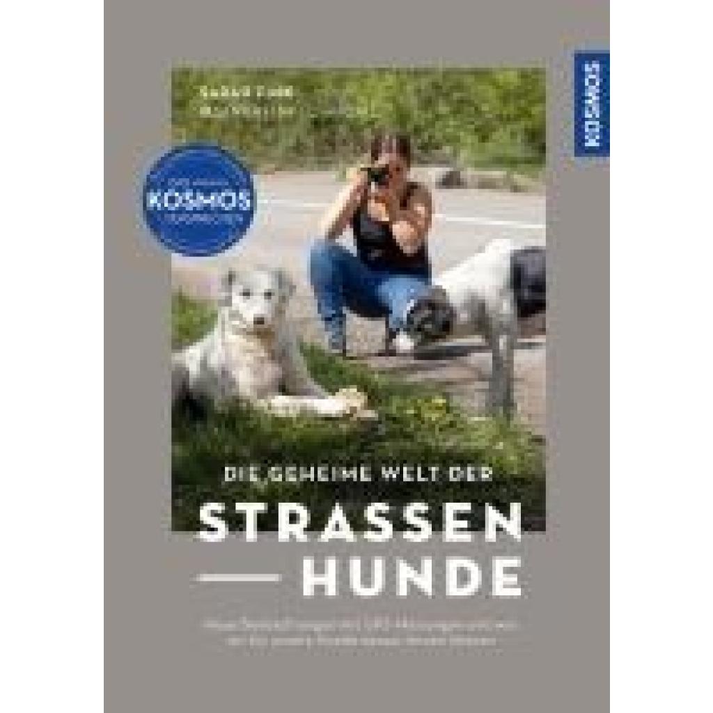 9783440181867 - Fink Sarah Die geheime Welt der Straßenhunde