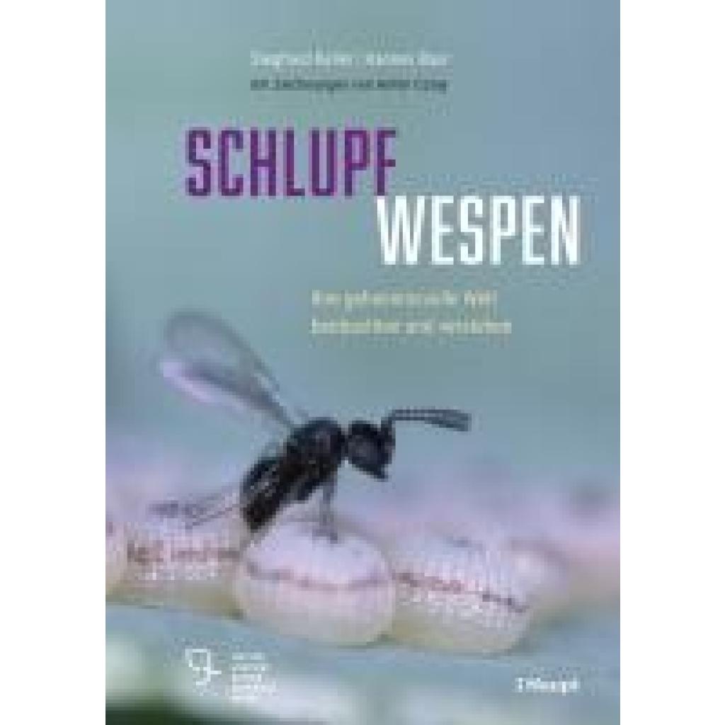 Keller, Siegfried: Schlupfwespen