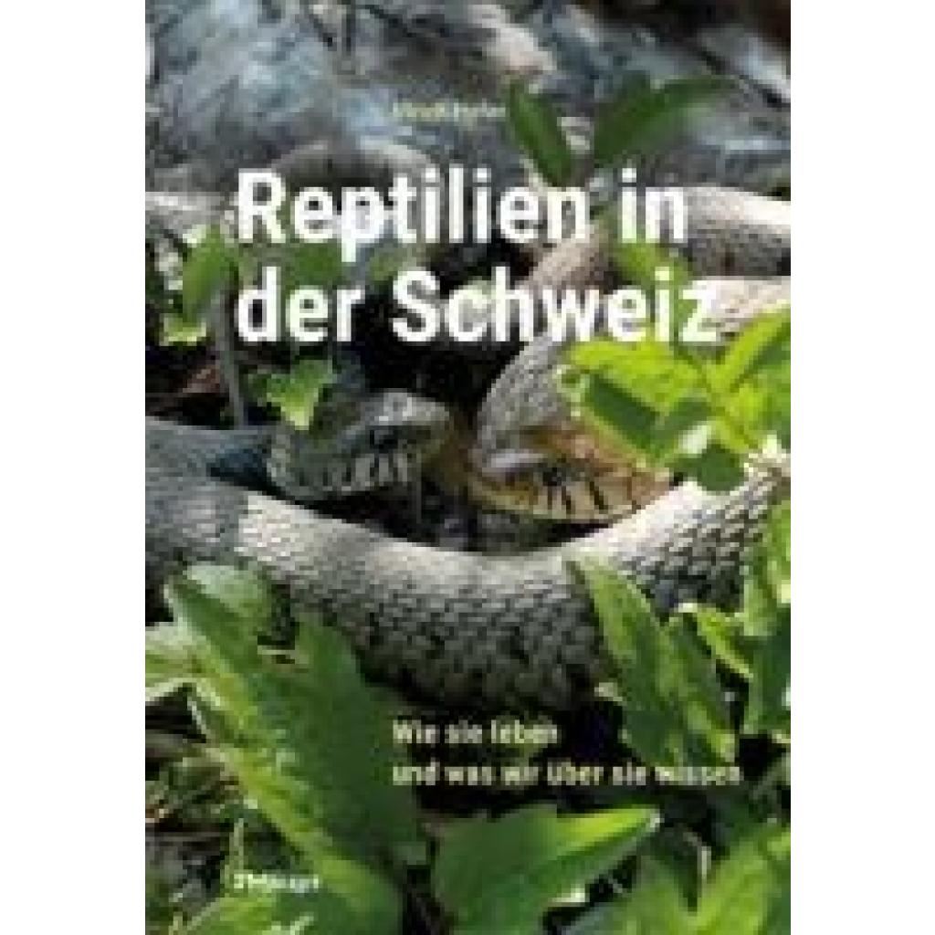 9783258083728 - Hofer Ulrich Reptilien in der Schweiz