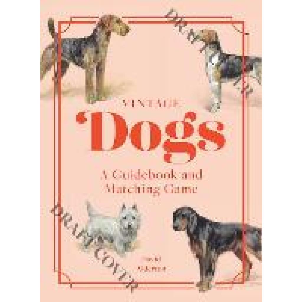 9781958417829 - Alderton David Vintage Dogs